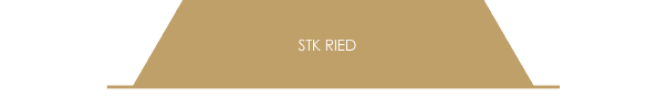 STK Ried